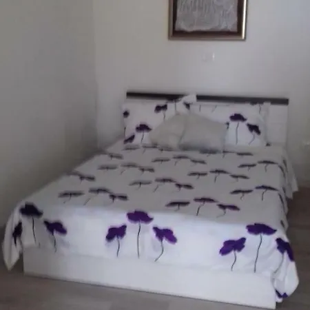 Apartmani Vesna Zambratija  Exterior foto