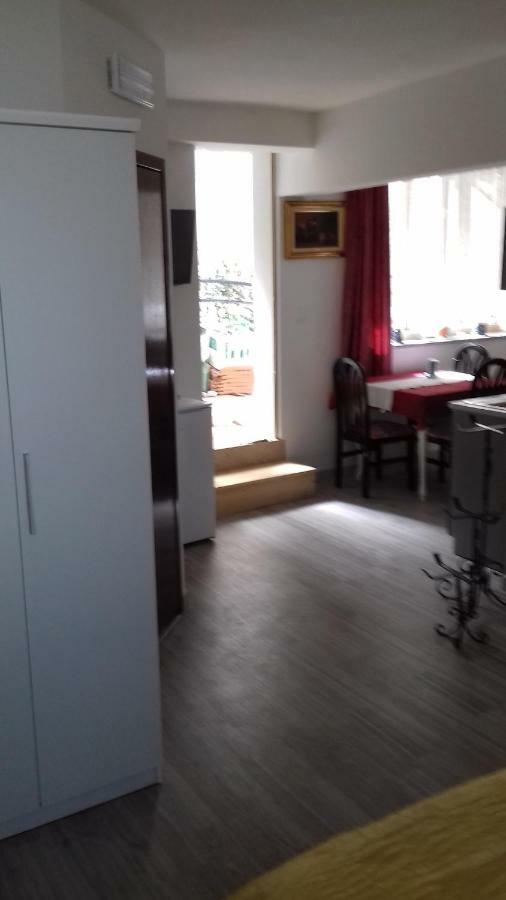 Apartment Vesna Zambratija (Istria)